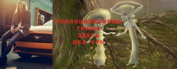 герыч Володарск
